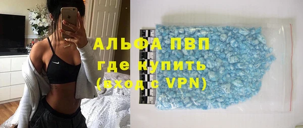 индика Лабытнанги
