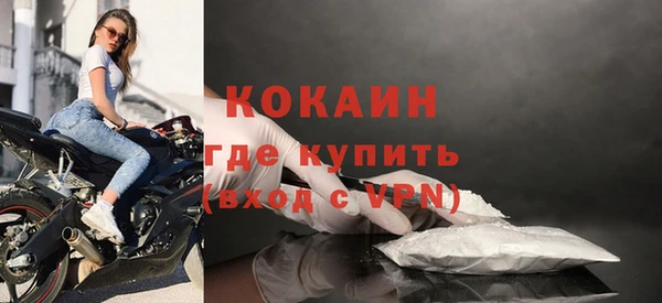 индика Лабытнанги