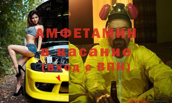 индика Лабытнанги