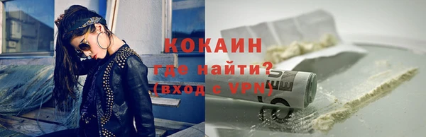 индика Лабытнанги