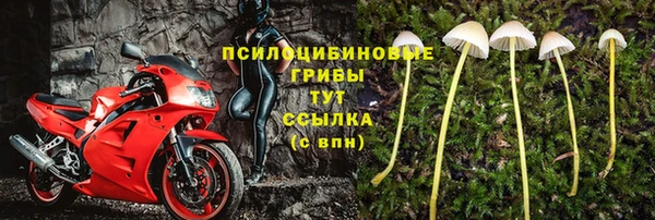 не бодяженный Лагань