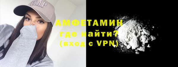 индика Лабытнанги