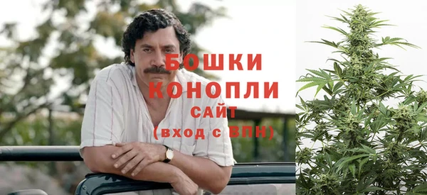 индика Лабытнанги