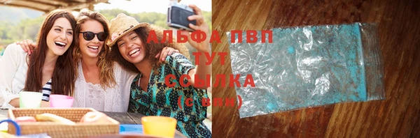 индика Лабытнанги