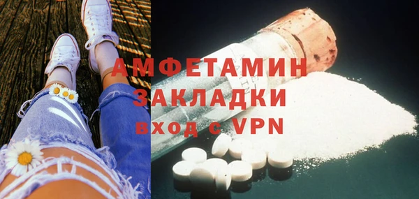 индика Лабытнанги
