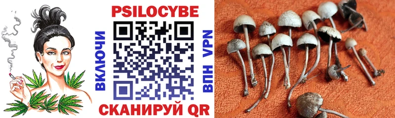 Псилоцибиновые грибы MAGIC MUSHROOMS  Купить закладки  Холмск 
